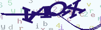 reload image