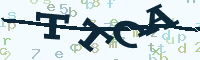reload image