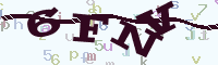 reload image