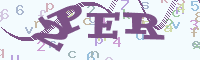 reload image