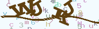 reload image