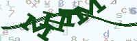 reload image