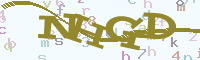 reload image