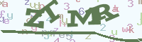 reload image