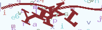 reload image