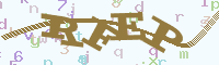 reload image