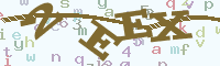 reload image