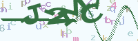 reload image