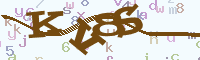 reload image