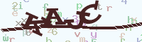 reload image