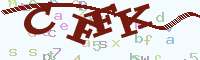 reload image