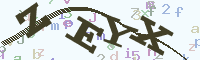 reload image