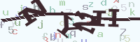 reload image