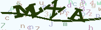reload image