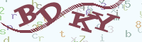 reload image