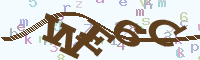 reload image