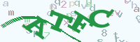 reload image