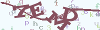 reload image