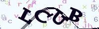 reload image