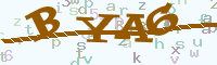 reload image