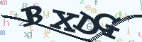 reload image