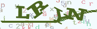 reload image