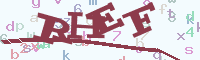 reload image