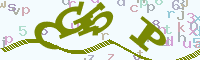 reload image