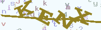 reload image