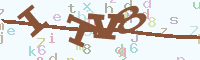 reload image