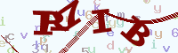 reload image