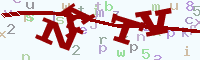 reload image