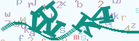 reload image