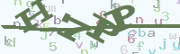 reload image