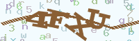 reload image