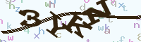 reload image