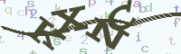 reload image