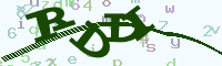 reload image