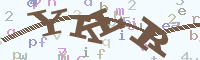 reload image