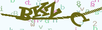 reload image