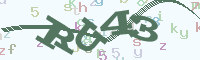 reload image