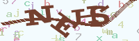 reload image