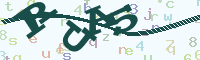 reload image