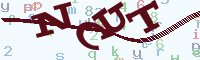 reload image