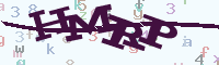 reload image