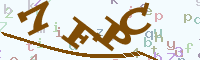 reload image
