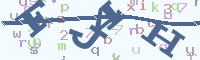 reload image