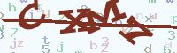 reload image