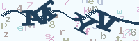 reload image