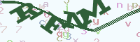 reload image